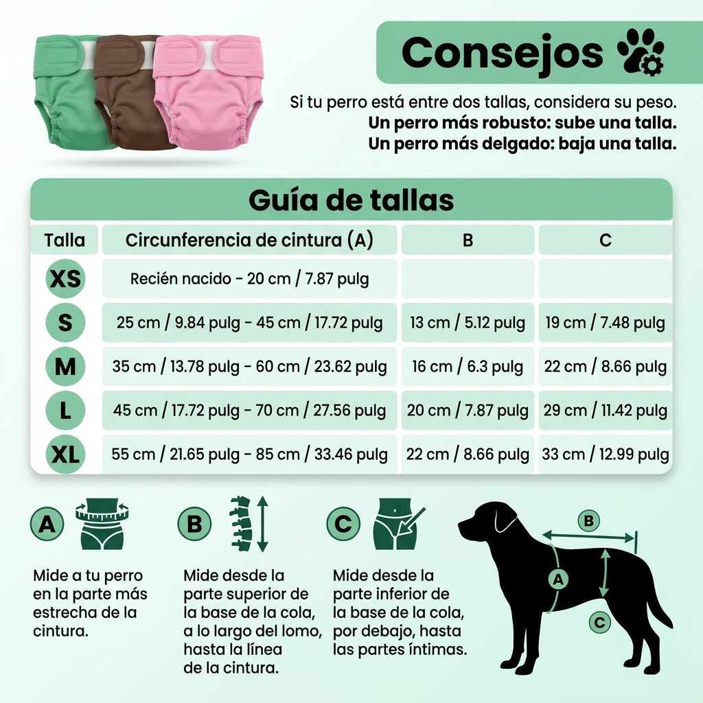 Pañal para perros Reusable y Lavable