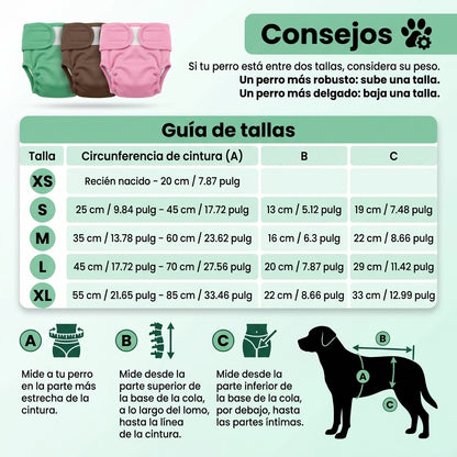 Pañal para perros Reusable y Lavable