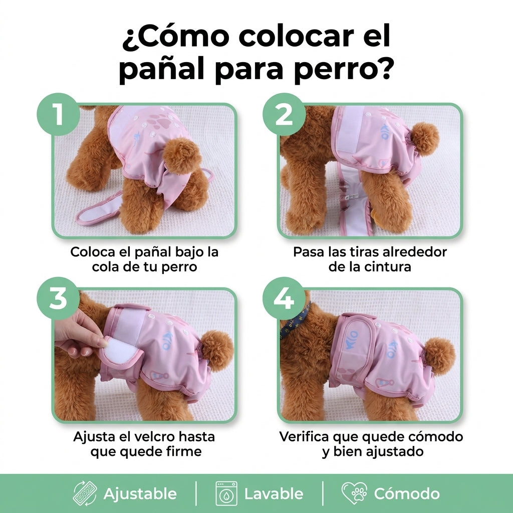 Pañal para perros Reusable y Lavable